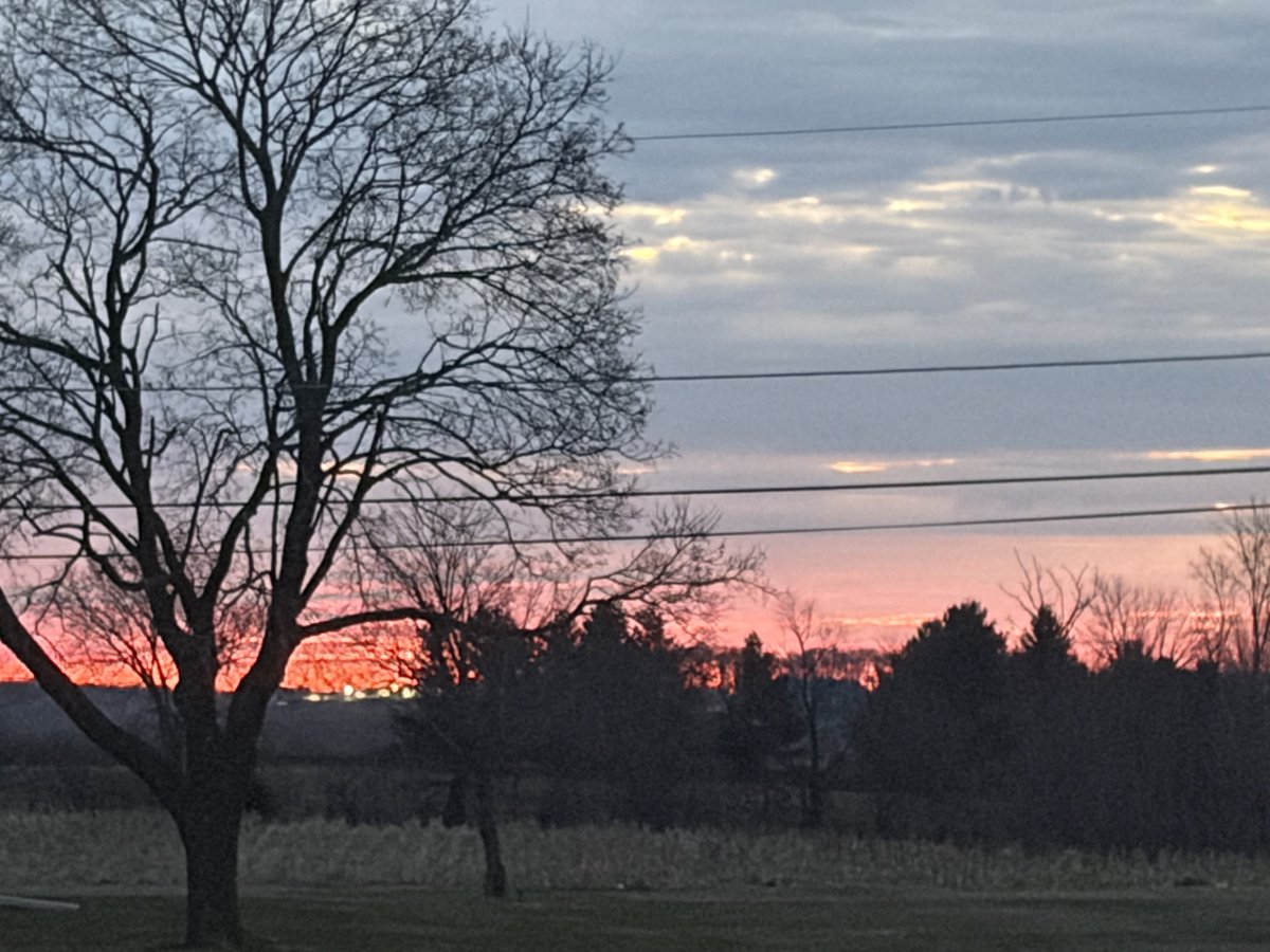 Papa Dino tweet media