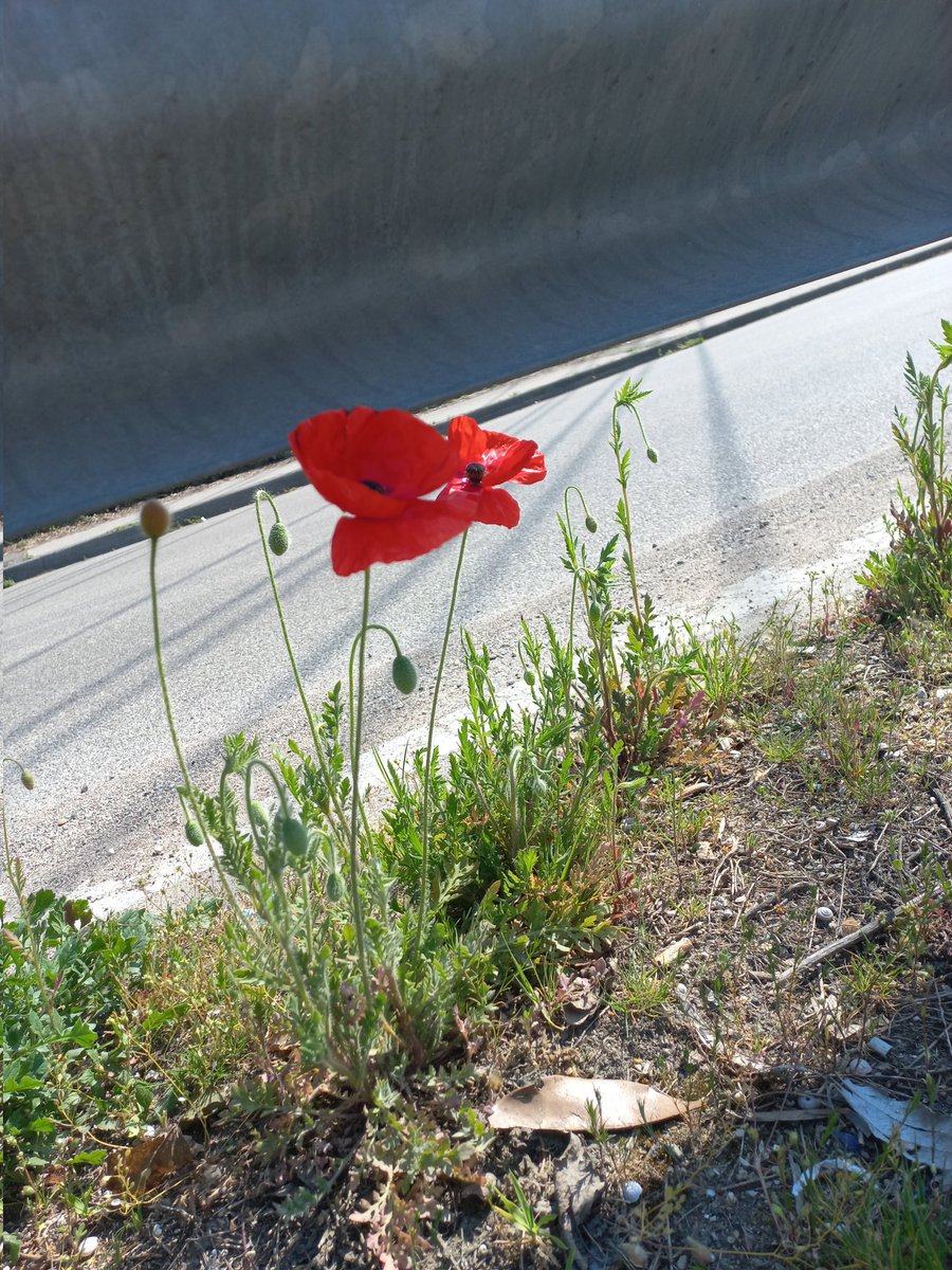 Eli 💞 tweet media