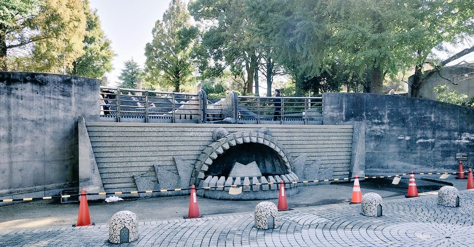 タロカ🍛 tweet media