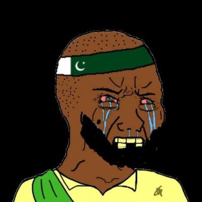 🇮🇳Hamza Singh Rangi tweet media