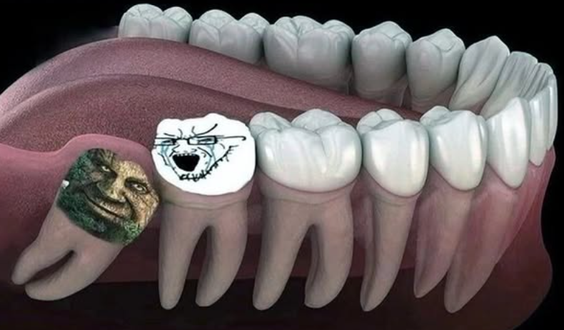 Shitpost 2077 tweet media