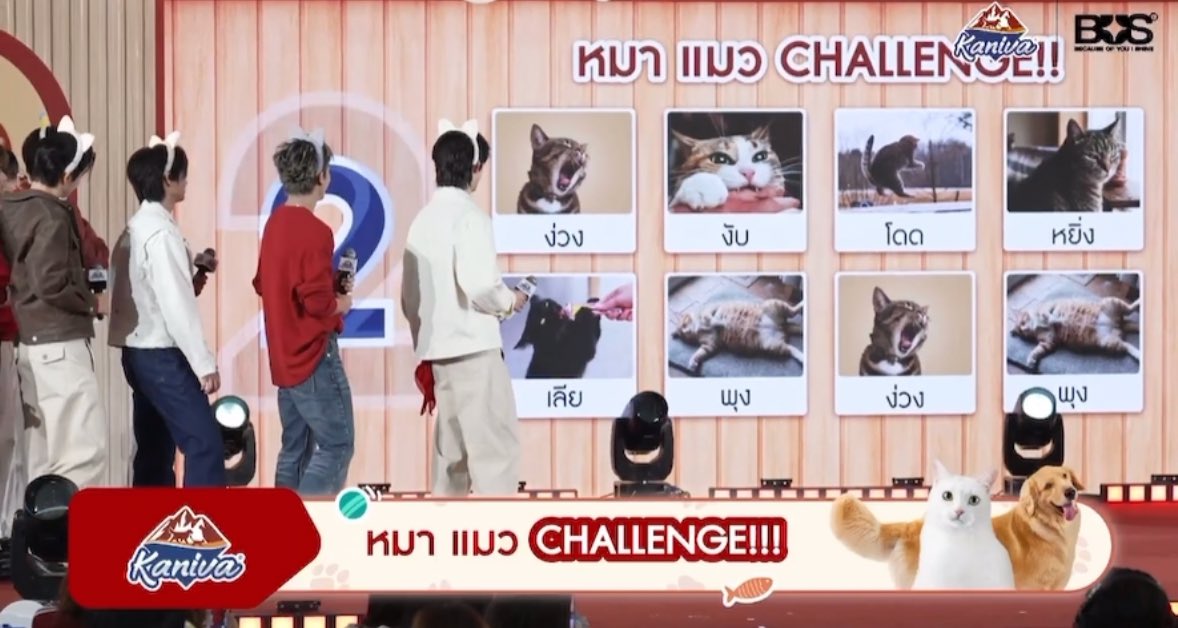 ไคง่วง tweet media