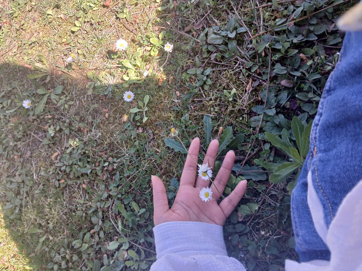 Pleasantly_exestential tweet media