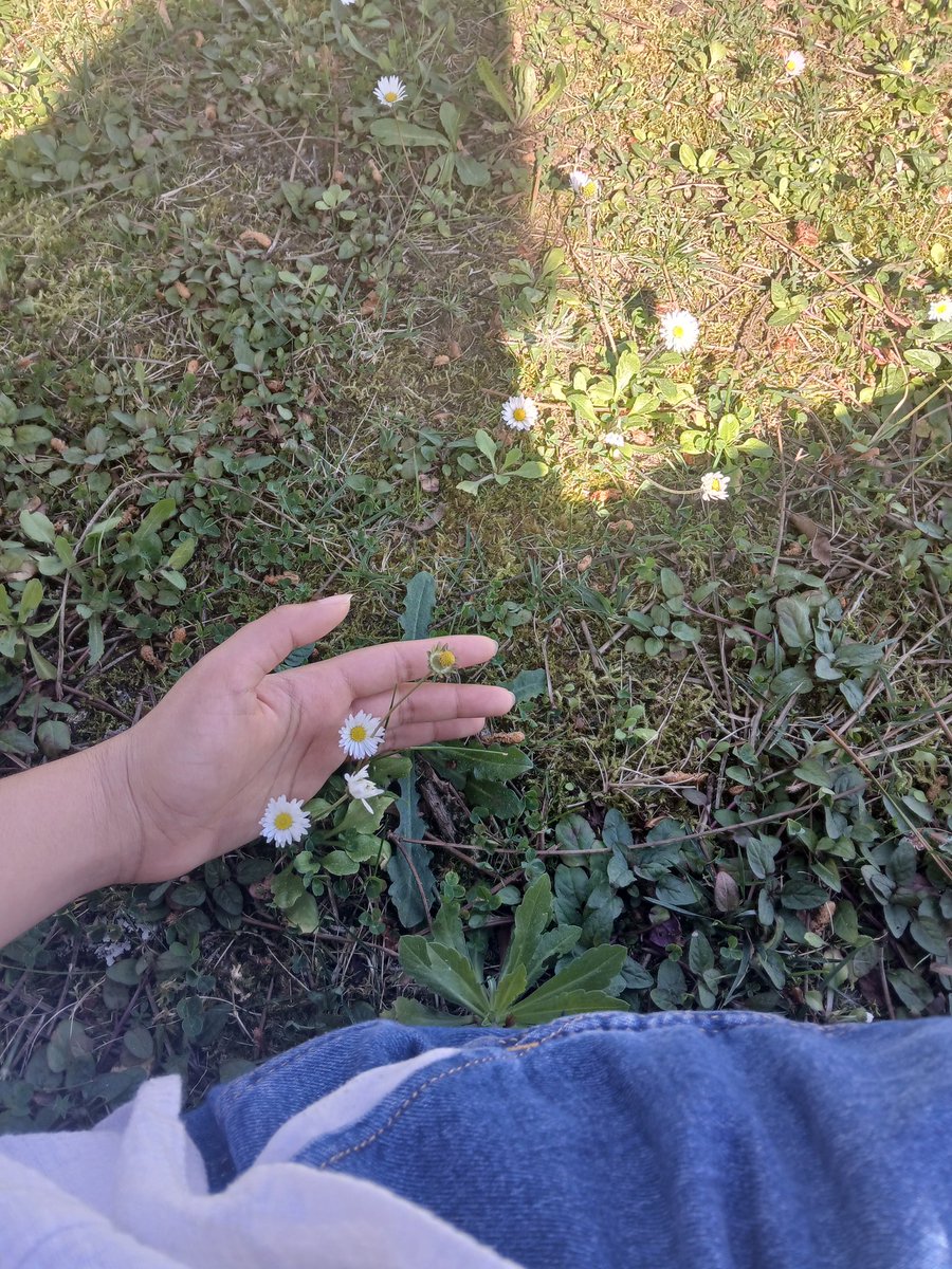 Pleasantly_exestential tweet media