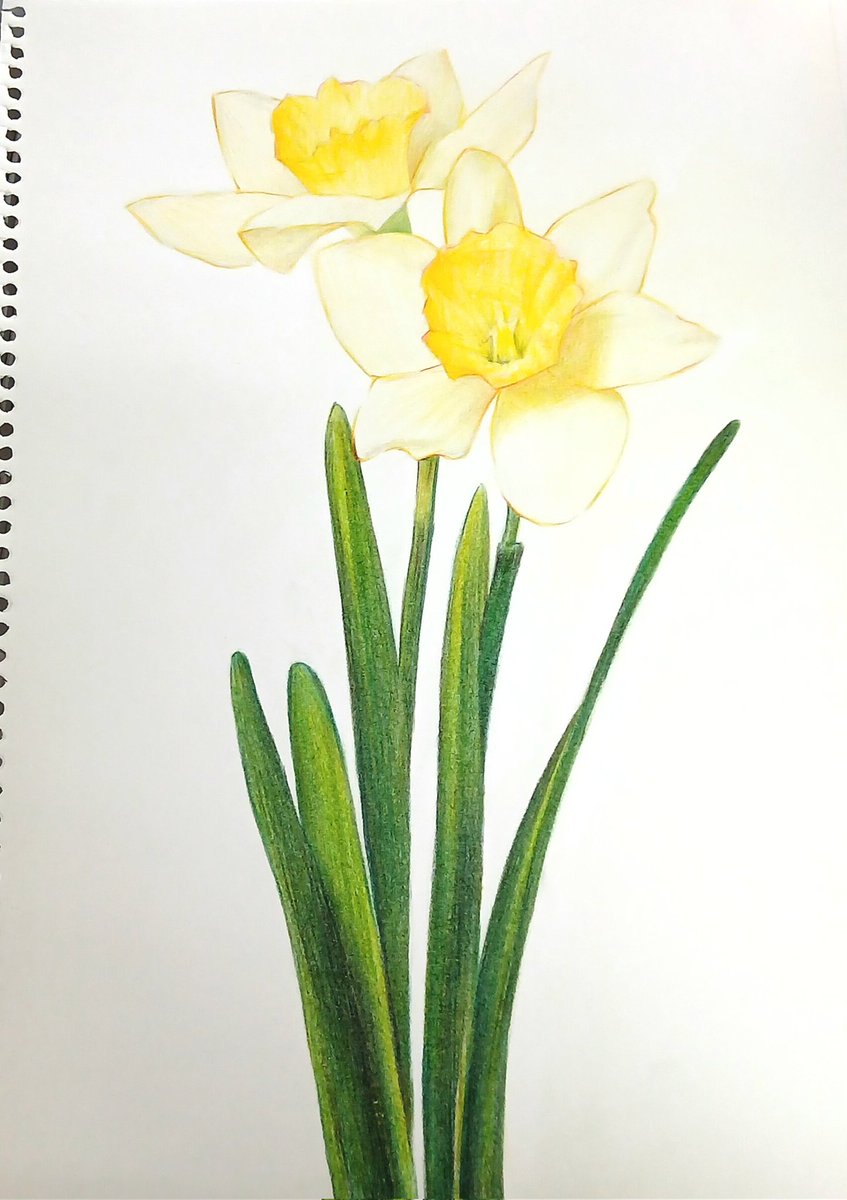 개미🐜 tweet media