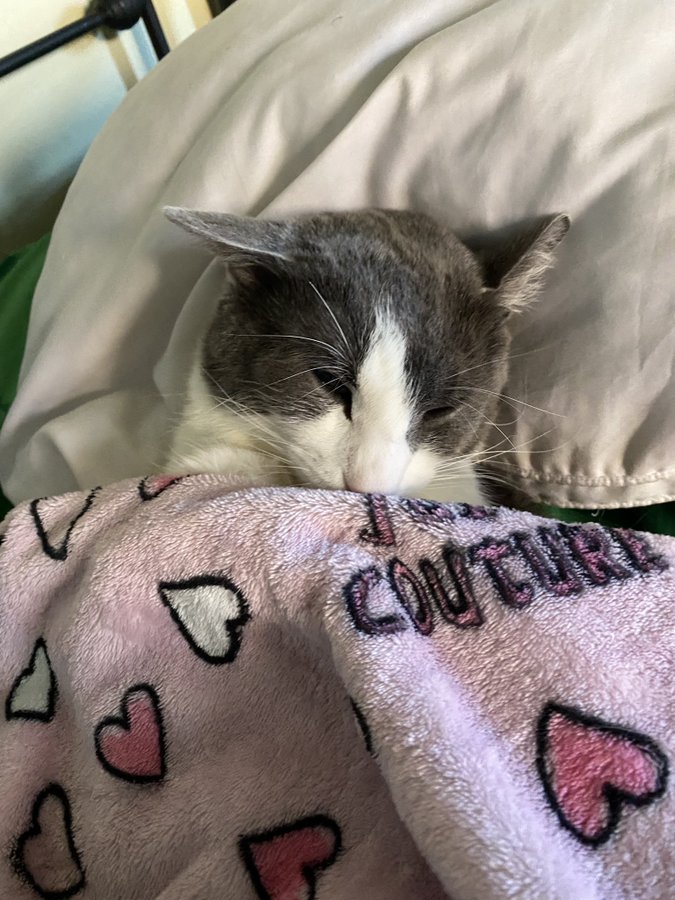 Soggy Bot tweet media