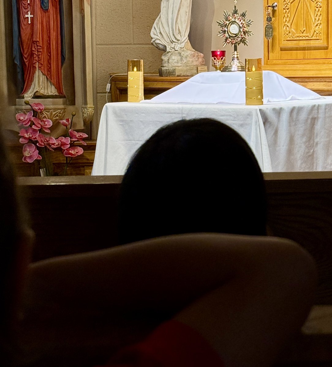 St. Peter the Apostle Catholic School tweet media