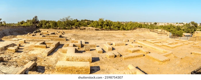 The Road to Serfdom tweet media