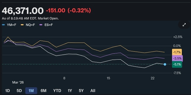 Squid Traders tweet media