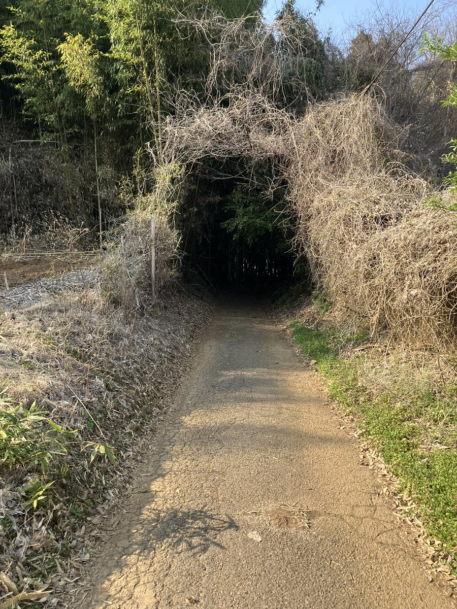 ２ ＫＩＣＫ ＨＯＵＲ tweet media