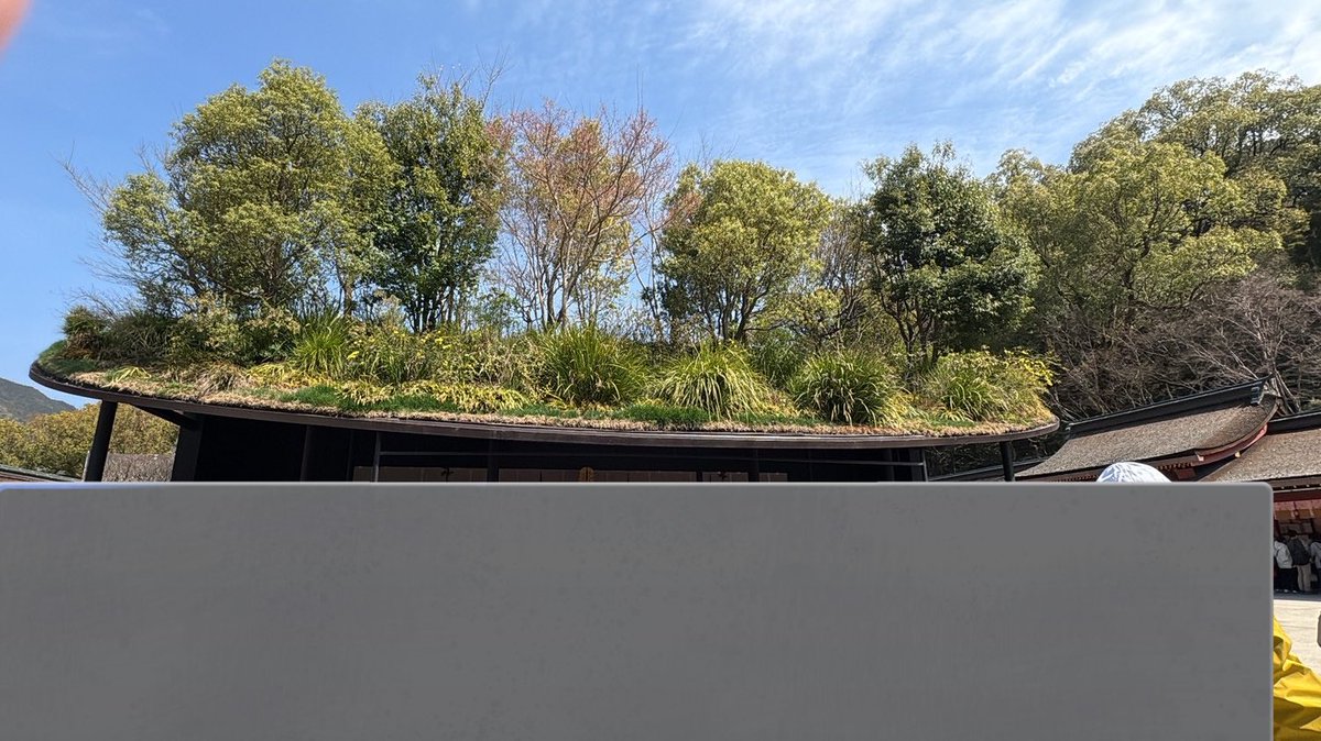 パリピちぃ明🤘😎🌟 tweet media