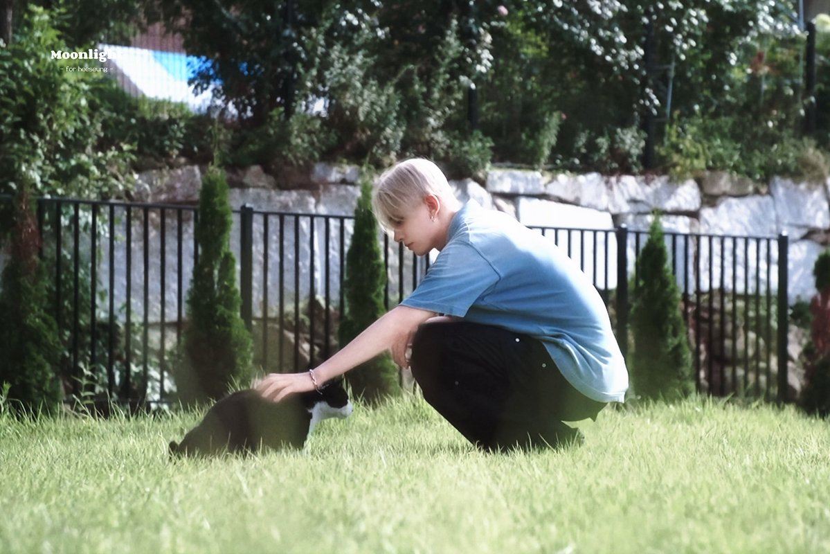 moonlight tweet media