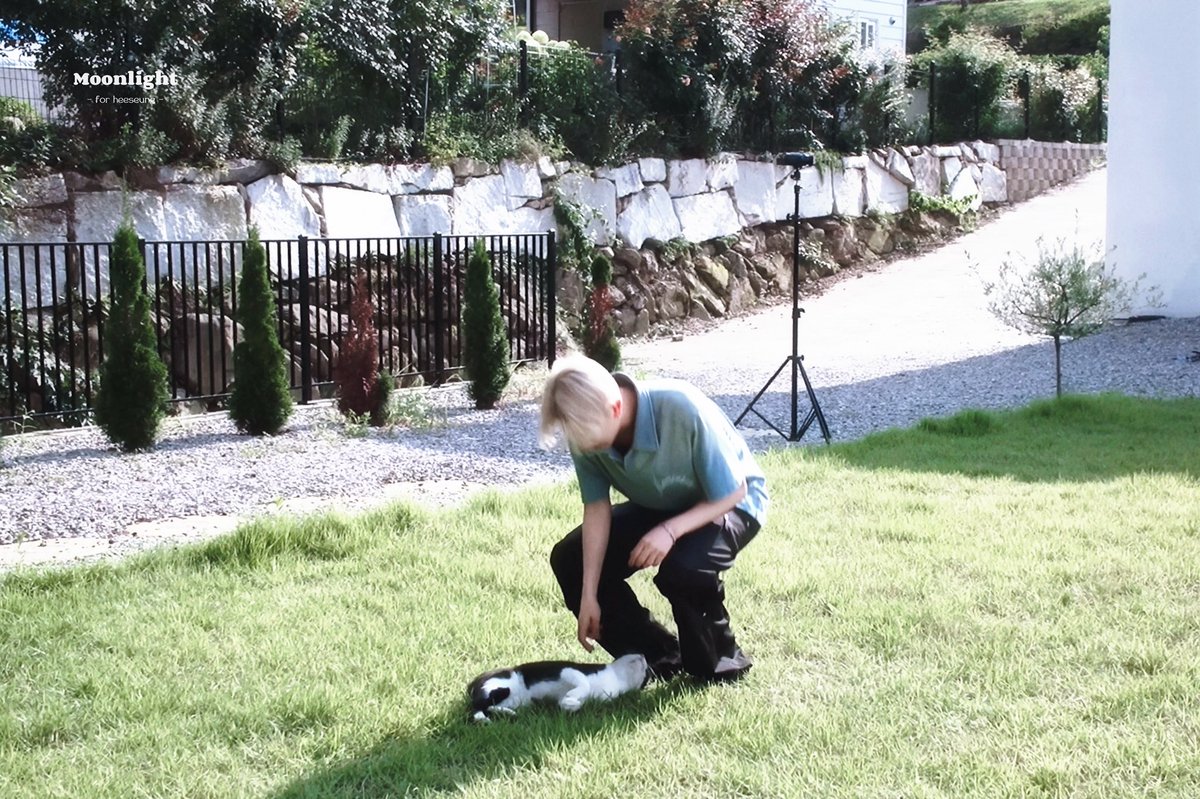 moonlight tweet media