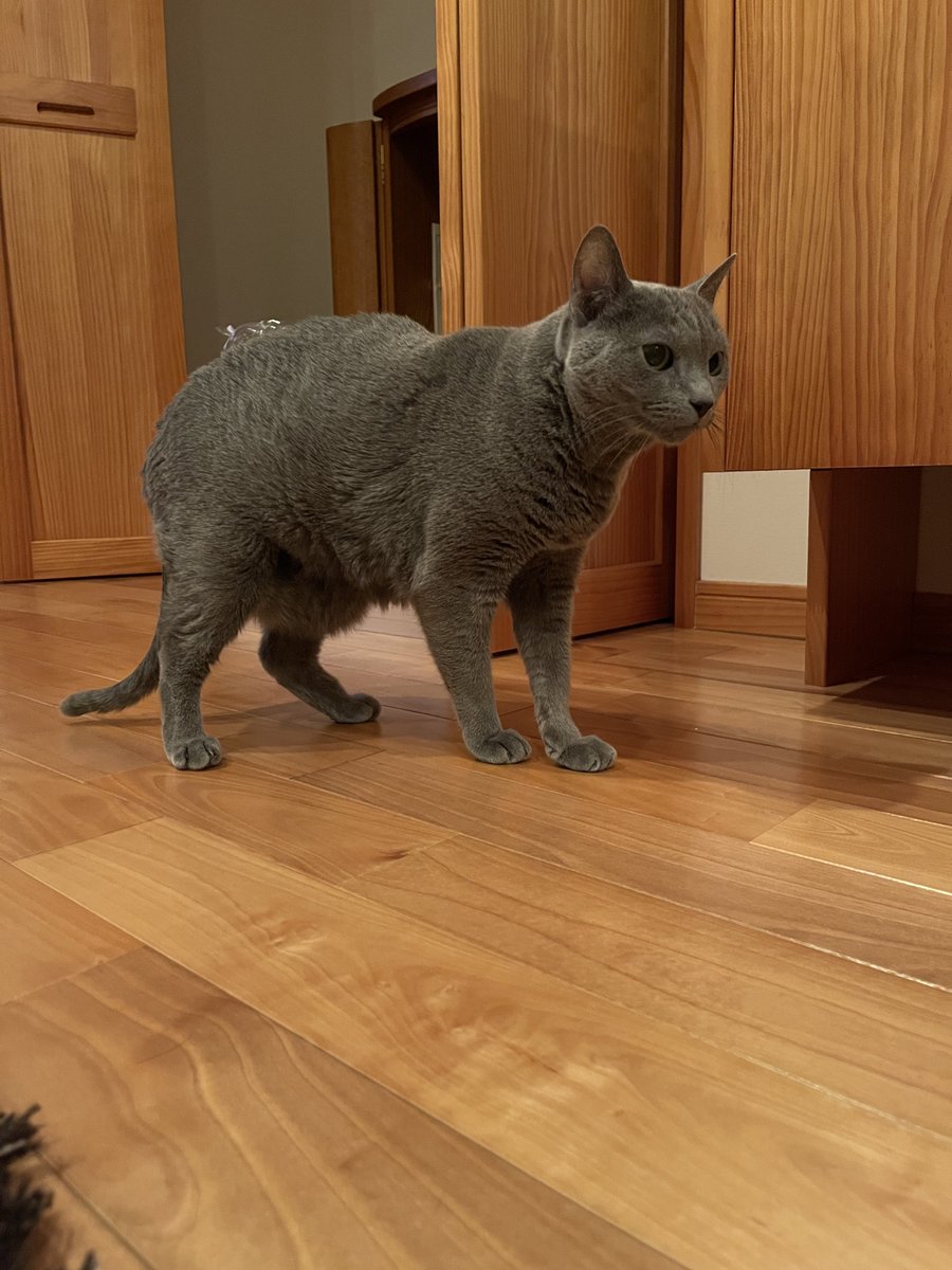 ユッケ🧄 tweet media