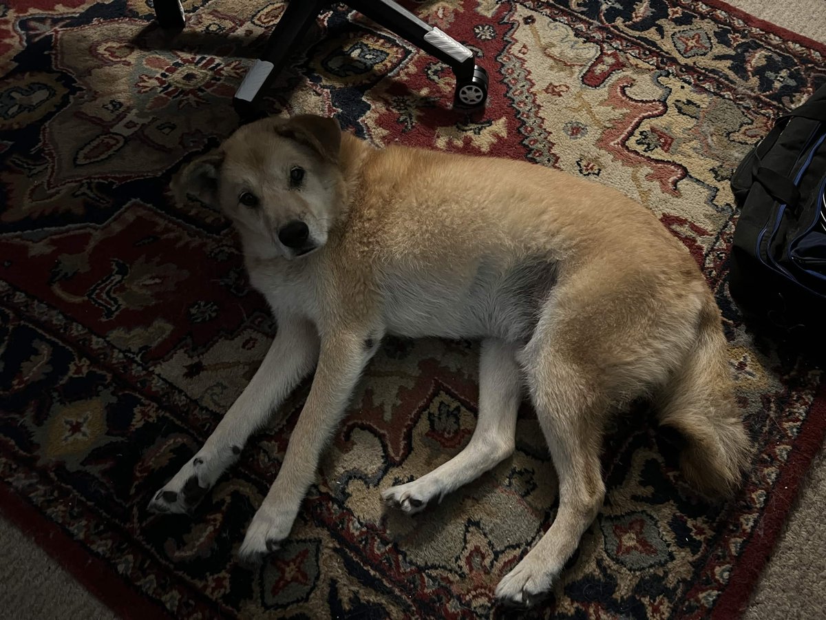 Sekine ★ 関根🐉🏁2.0 ERA~ tweet media