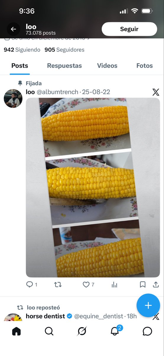 JOAOSEXO tweet media