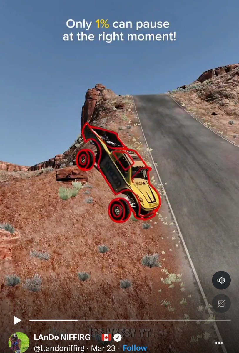 Alpha Omega MMA tweet media