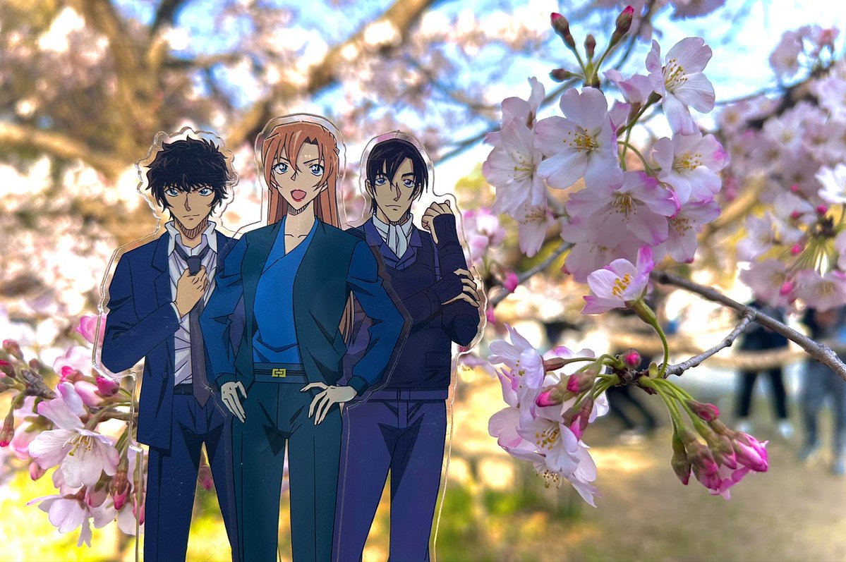 -Hiyori- tweet media