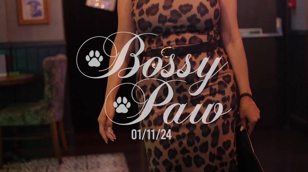 BossyPawProductions tweet media