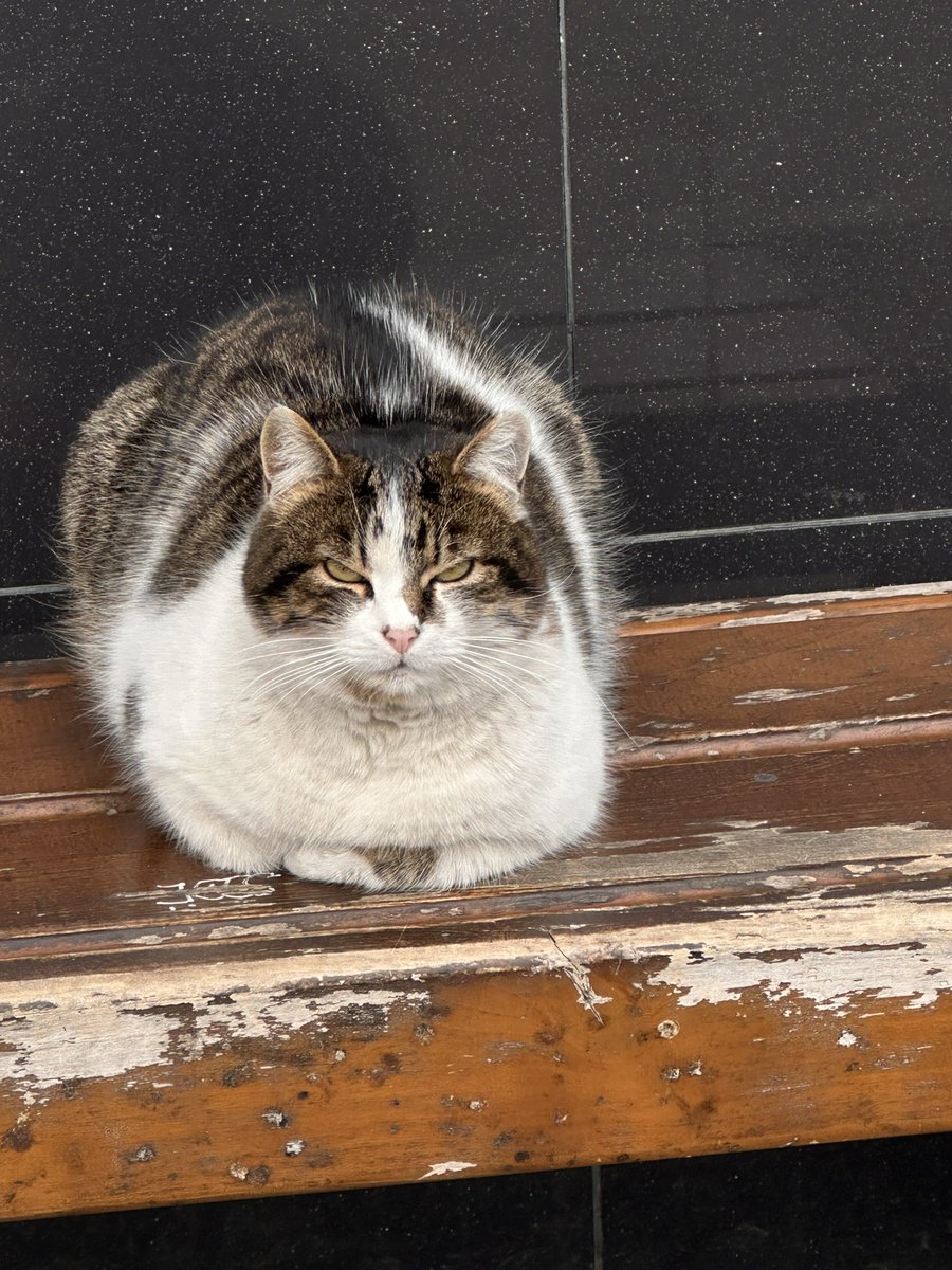 бедбай🇺🇦 tweet media