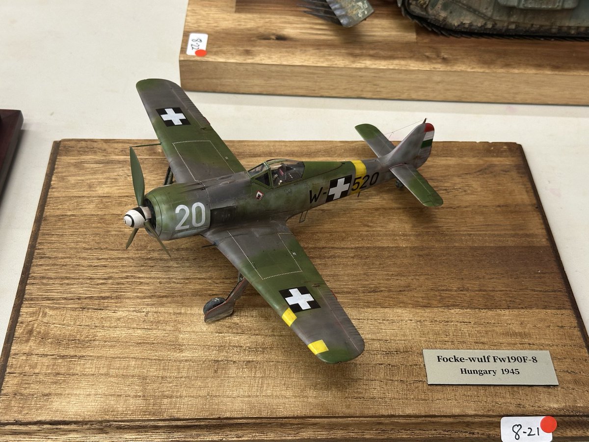 FriedenModels tweet media