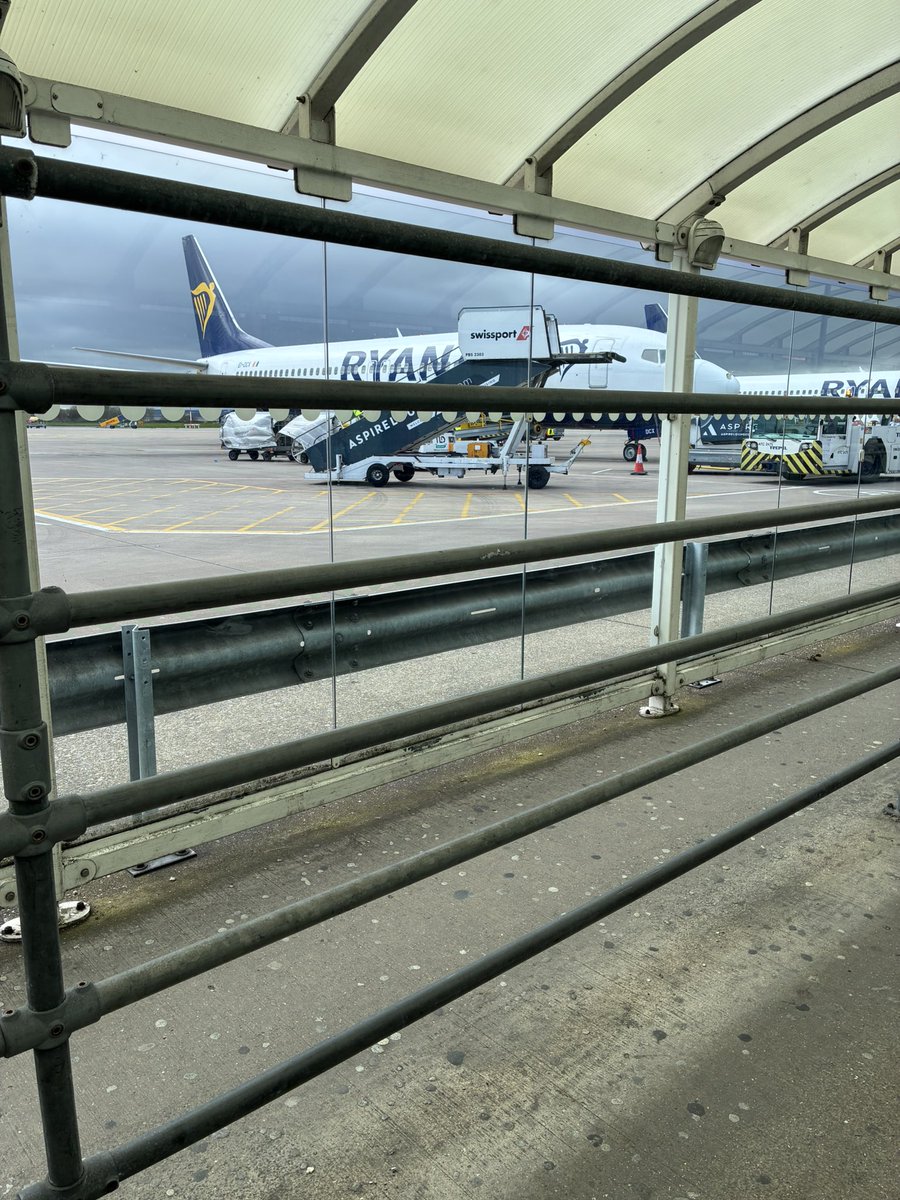 siobhán tallon 💛🖤 tweet media