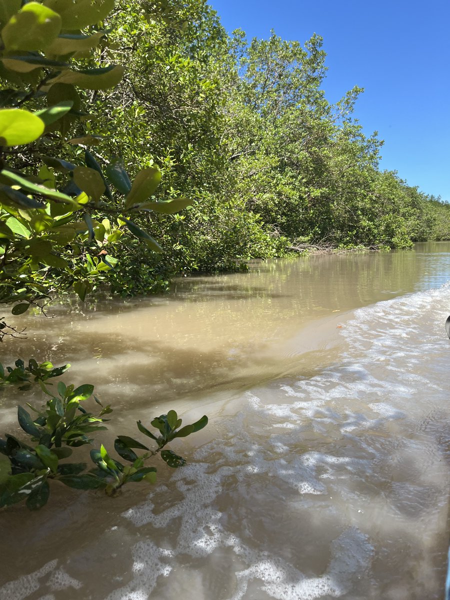 GO-BC official tweet media