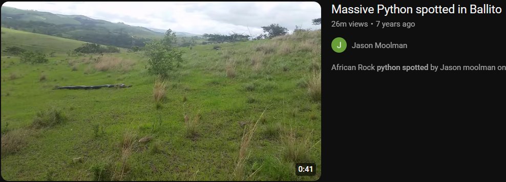 Kavya🌷 tweet media