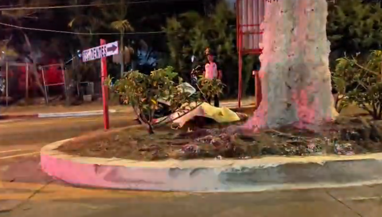 Marilin Alvarez tweet media