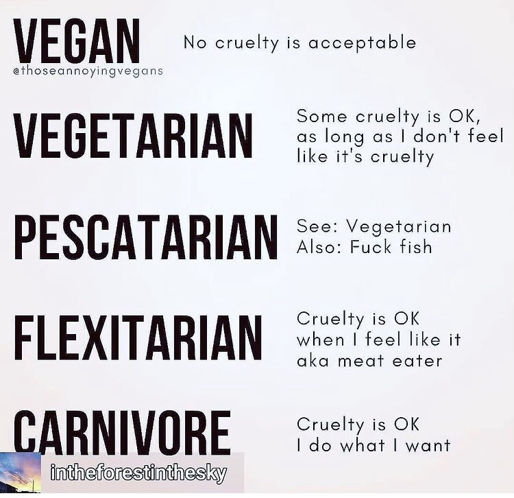 Adam Ⓥ🌱🌏🇦🇺✌️💙 tweet media