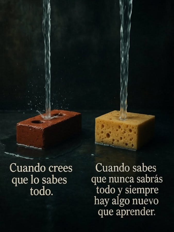 Escuela de Vida tweet media