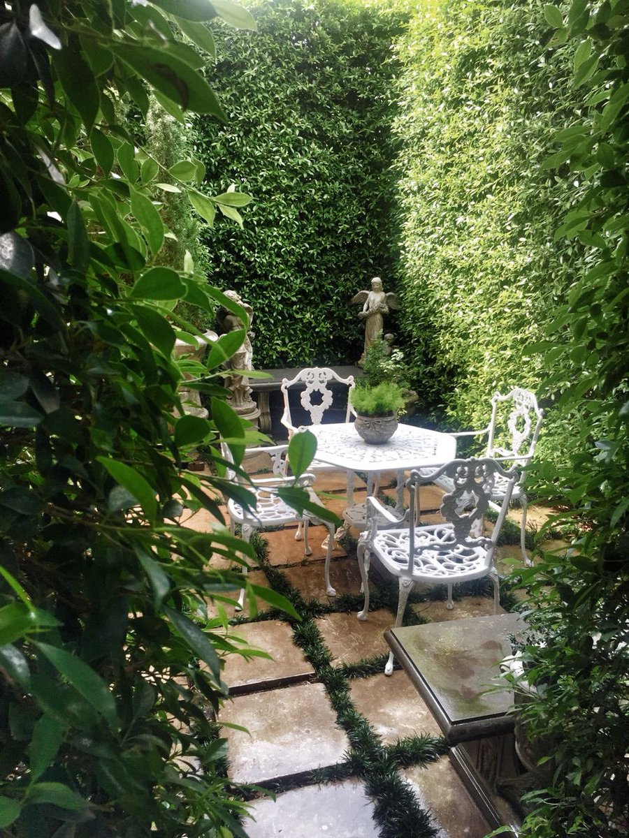 Nucci Pollarolo tweet media