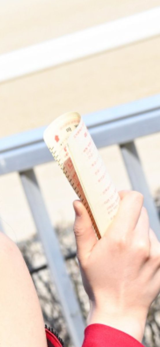 minooong/미눙 🐈 tweet media