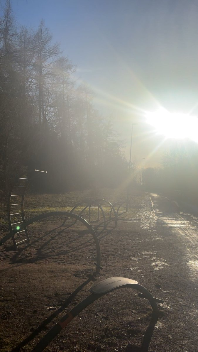 DHT+CO2+T3🥛🌞 tweet media