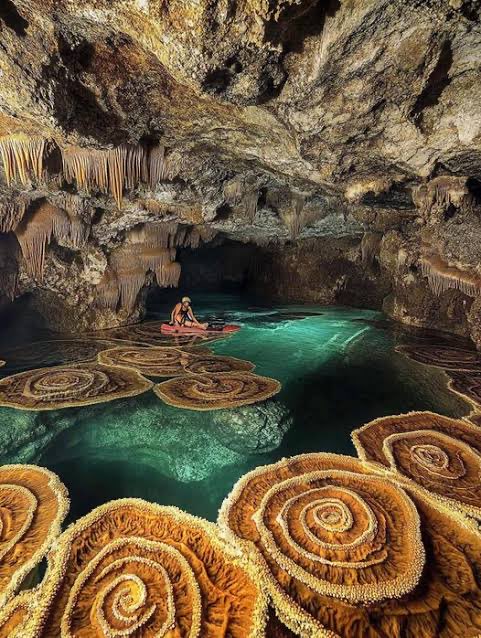 Anny Mation tweet media