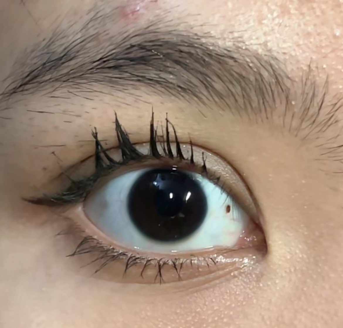 Tika Beauty Find🔎💄 tweet media