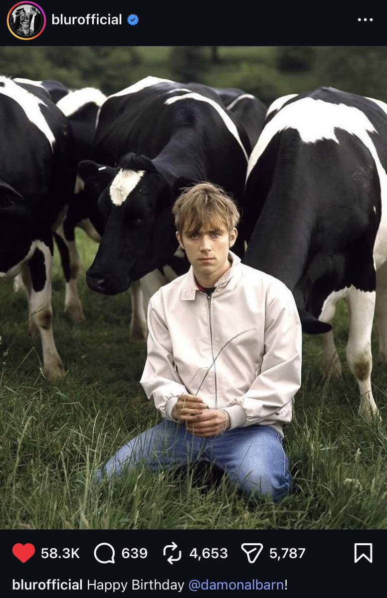 Dr Lucy Chalice Author tweet media