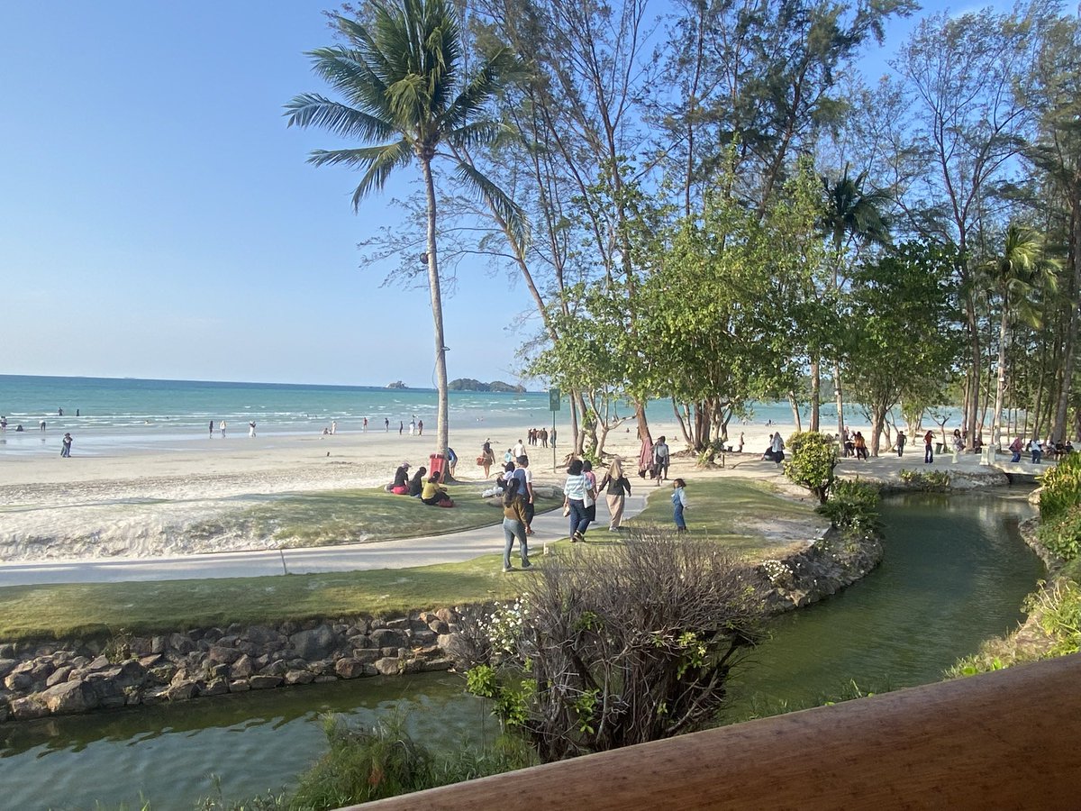 gemma here! tweet media