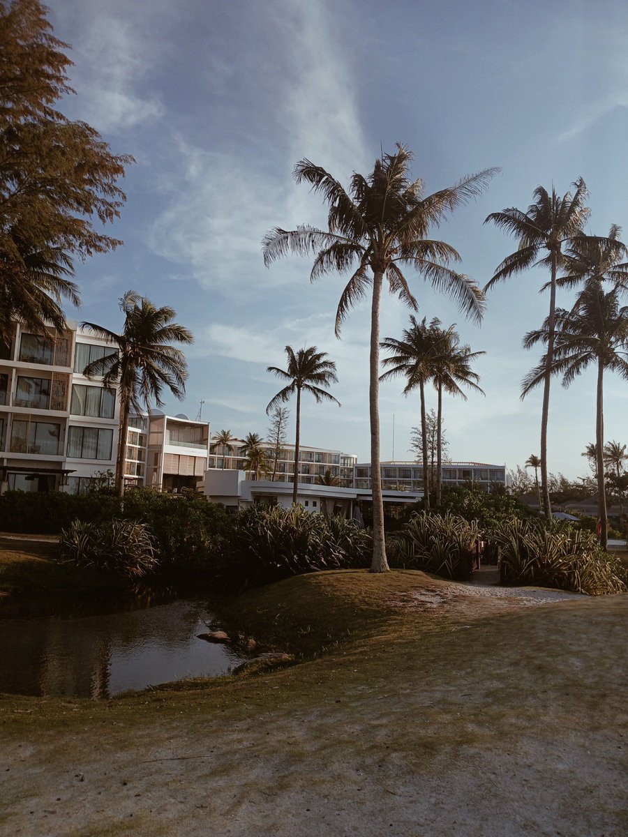 gemma here! tweet media