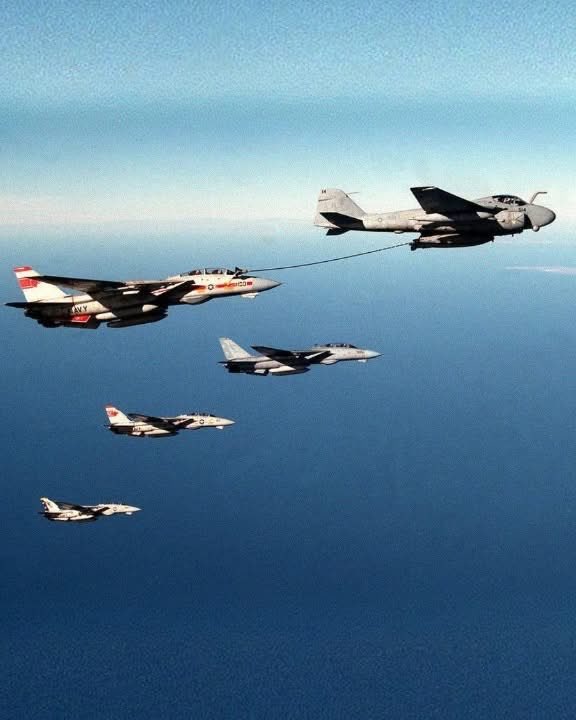 Chris Bolton tweet media