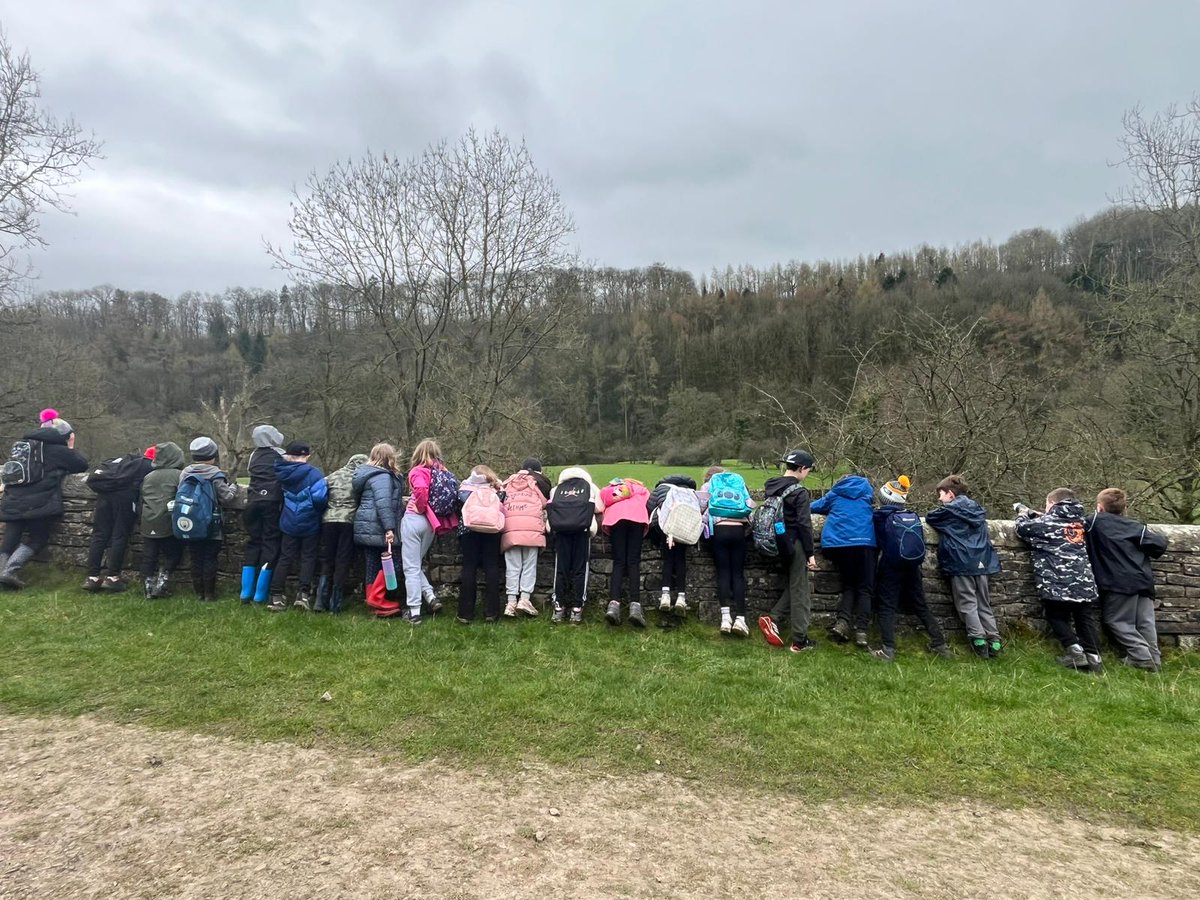 Candleby Lane tweet media