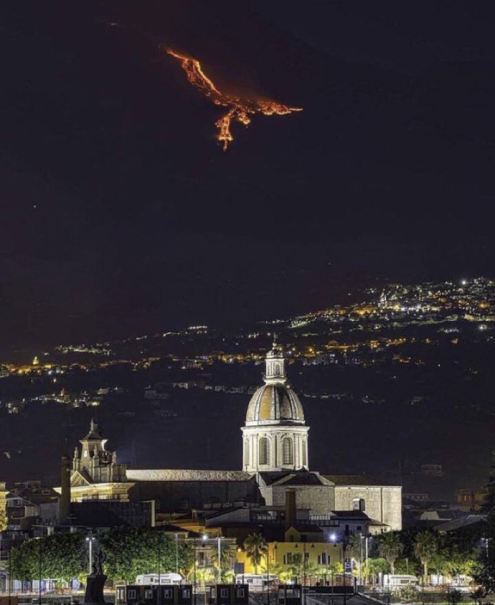 ネットで話題のツイ図鑑 tweet media