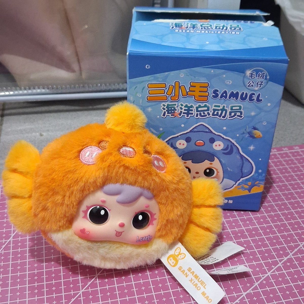 NayNat \ mt aft dm tweet media