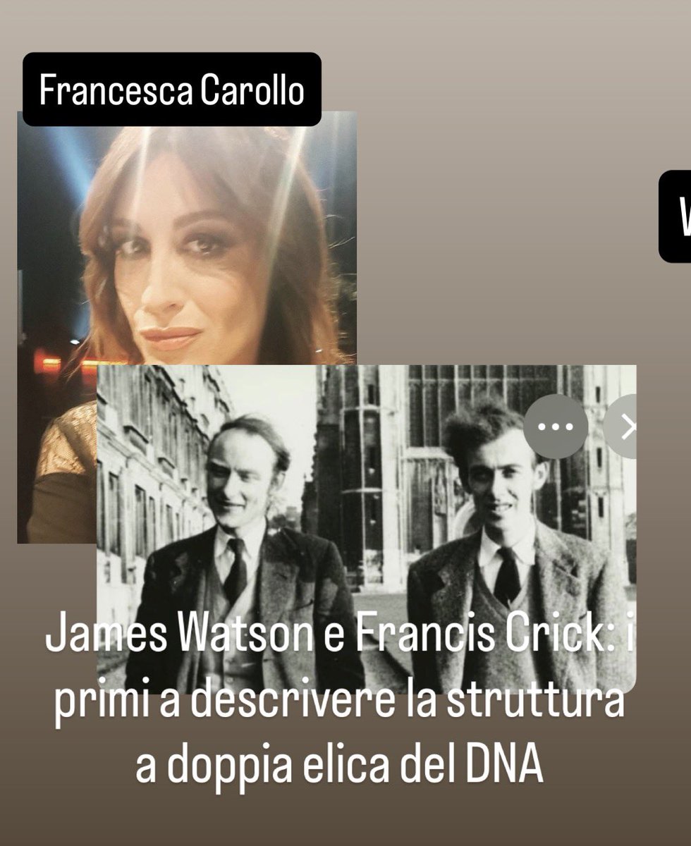 Dott. Carolina Sellitto tweet media