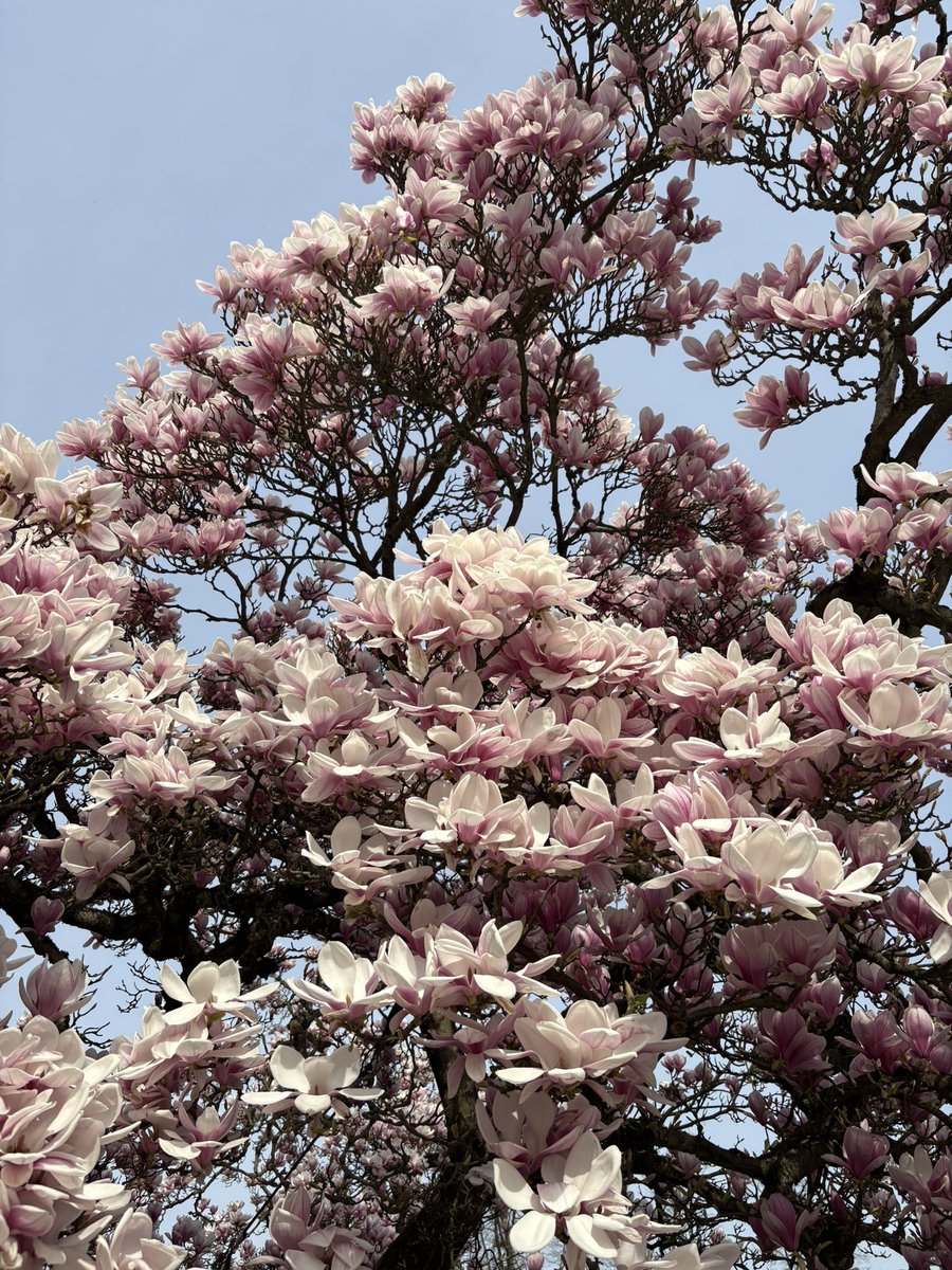 ナミヲ🍻 tweet media