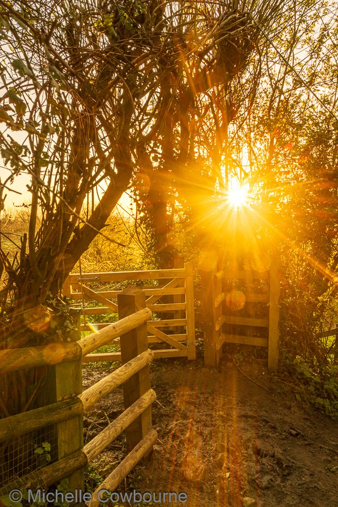 Through the Gateway. Taken in Avalon Orchard, Glastonbury.