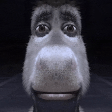 𝙆𝙪𝙪𝙍𝙊 tweet media