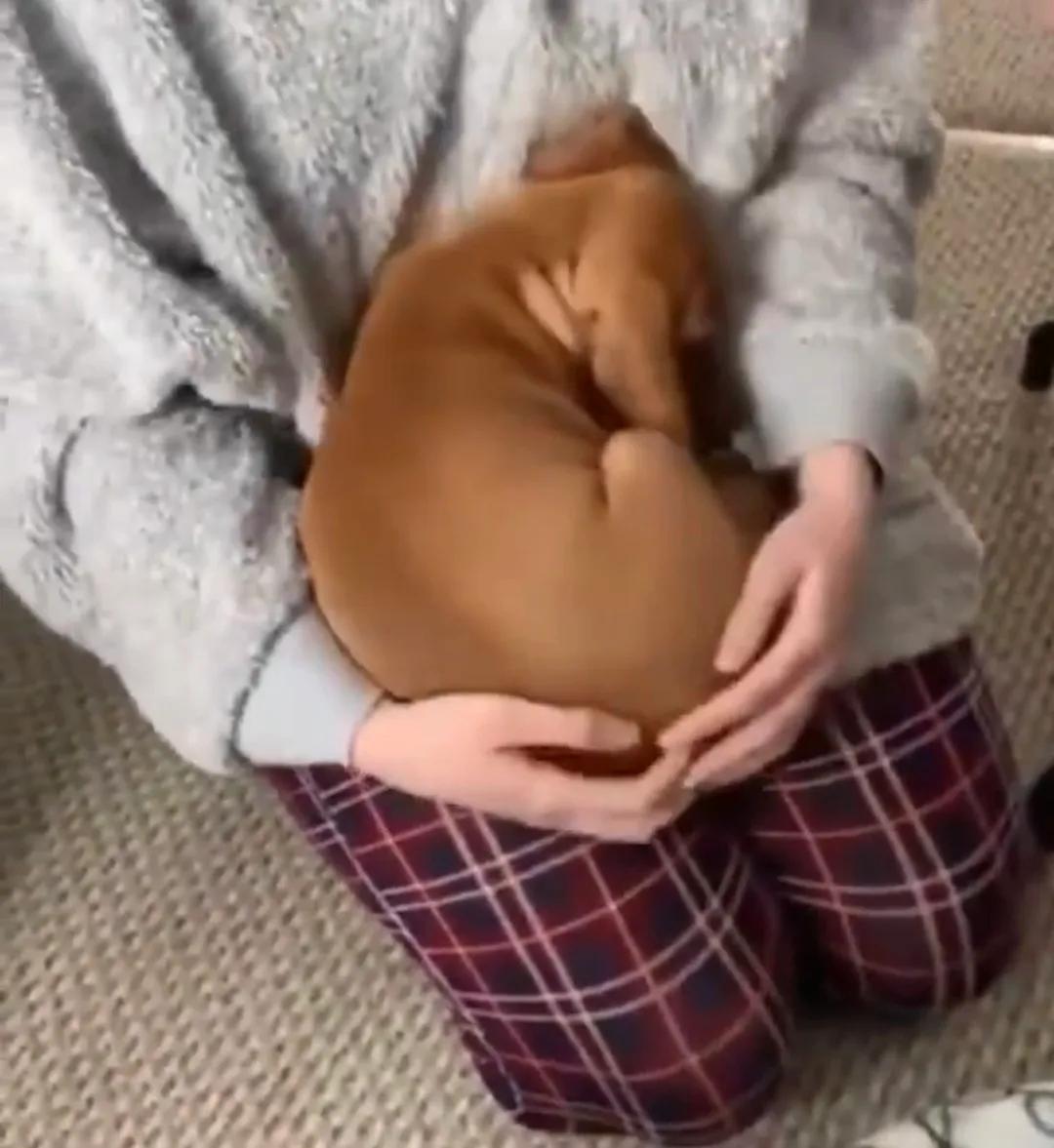 Sara Mary ⭐❤️ tweet media