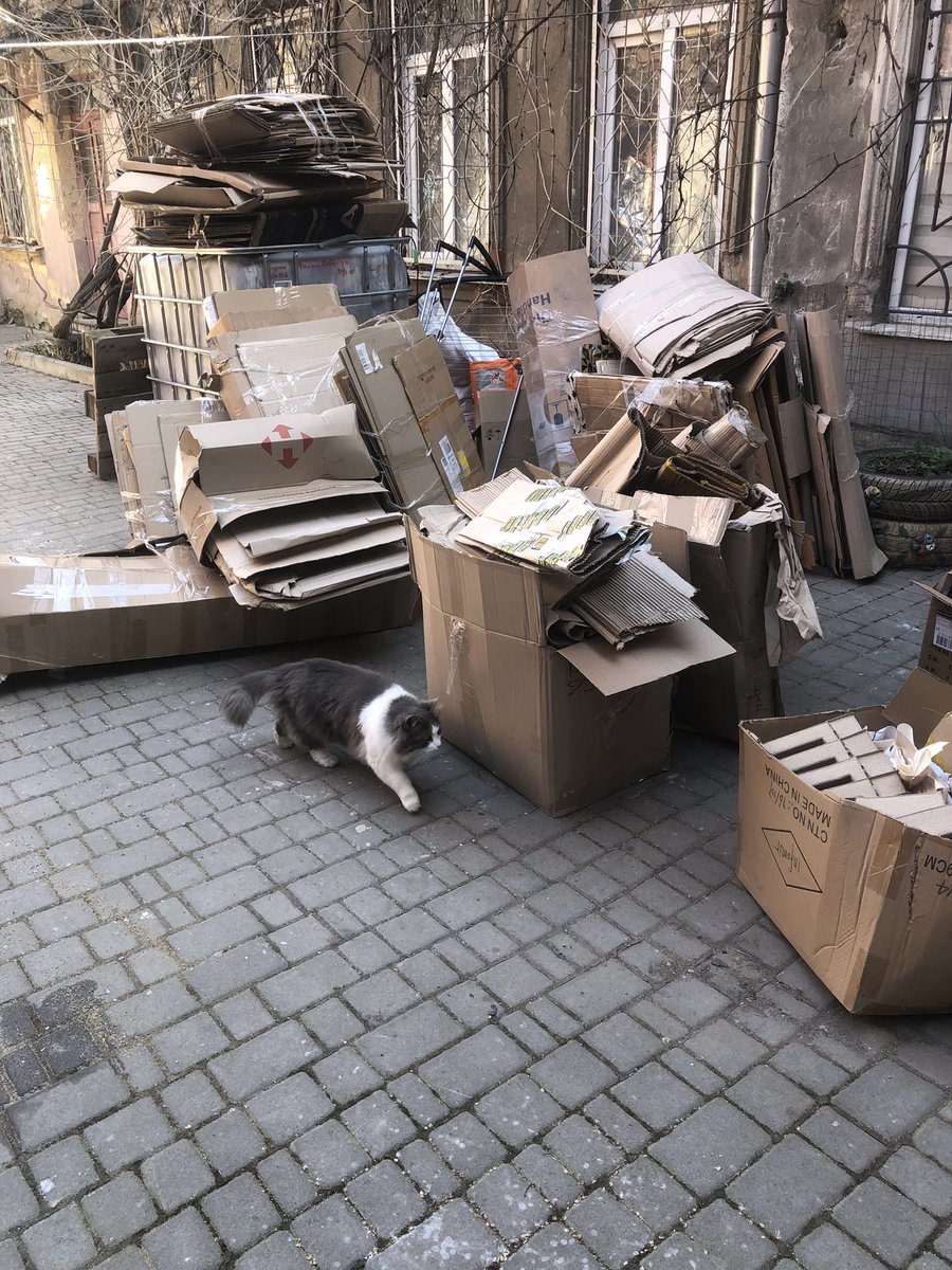 Coast of Life tweet media