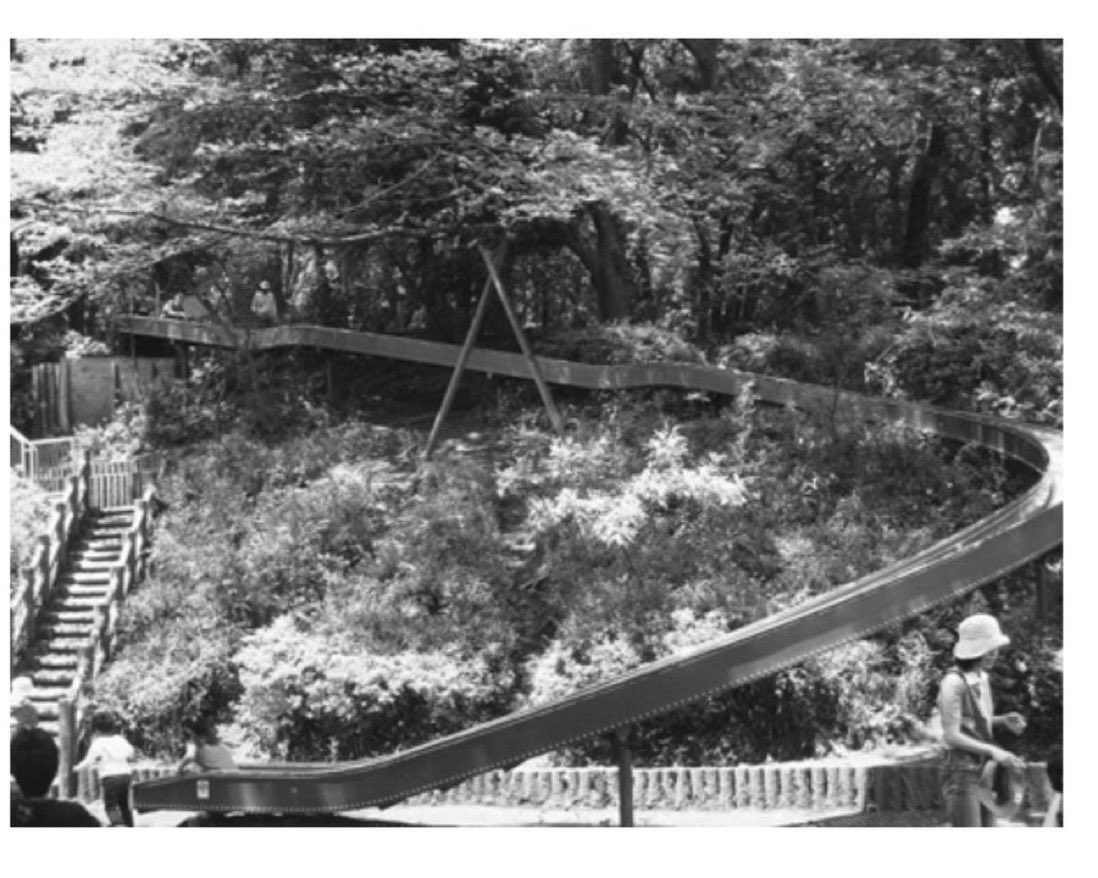 Dr.しば tweet media